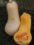 Squash Butternut Waltham Seed - 100 G Raw Seed