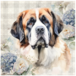 Scatter Cushion Saint Bernard