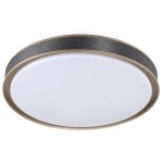Novella Ceiling Light