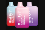 MINI Pod Disposable Vape – 1000 Puff 50MG