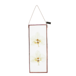 Orchid Botanical Wall Art Rectangle - Black