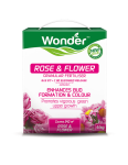 Wonder Rose & Flower