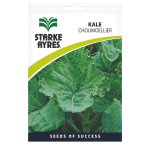 Seeds - Kale