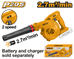 20V Ps+ C l Blower