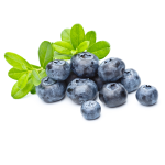 Bilberry Concentrate - 50ML