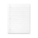 Cas palm Fly Paper Feint Doublesheet 240