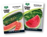 Watermelon Seed
