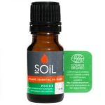 Pure Essential Oil Blend Focus 10ML