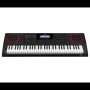 Casio CT-X3000 Keyboard Aix Sound Black