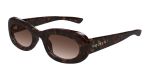 Sunglasses Womens In Havana Brown AM0527S-002 - Havana Onesize