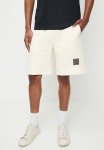 Converse Future Utility Graphic Short - Egret