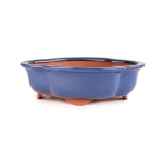 Assorted Glazed Bonsai Pots 12" - Blue Floriated 29 X 24 X 9CM