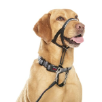 Halti Headcollar - Size 1