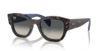 - Jorge -havana Gray On Grad Blue grey GRADIENT-52