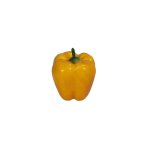 Artificial Yellow Pepper