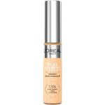 L'oreal True Match Concealer 5.5D