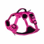 Rogz Utility Small Nitelilfe Explore Harness Pink Reflective Waggs Pet Shop