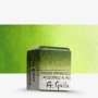 Handmade Watercolour Paint - Sap Green Half Pan