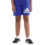Adidas Big Logo Kids' Shorts - Blue