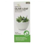 Olive Leaf 50ML