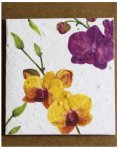 Orchid MINI Card