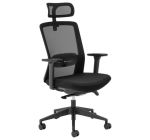 Aila Ergo High Back Chair