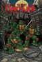 Teenage Mutant Ninja Turtles: The Ultimate Collection Vol. 1   Paperback