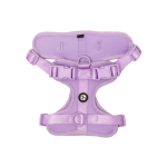 Active Padded Harness Purple - Small