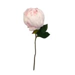 - Closed Peony - Baby Pink - 32CM
