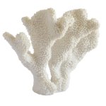 Decorative White Coral Sculpture - Small