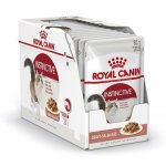 Royal Canin 85GX12 Pouch Instintive Gravy Box