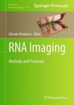 Rna Imaging - Methods And Protocols Hardcover 1ST Ed. 2016