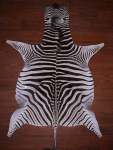 Aa Grade Zebra Hide 075 M