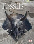 Fossils - Gold A Nf Paperback