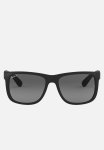 Justin Sunglasses 55MM - Black