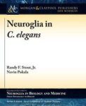 Neuroglia In C. Elegans Hardcover