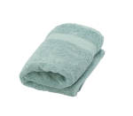 Indulgence 630GSM Hand Towel - Duckegg
