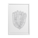 Algae Art Print - A2 420 X 594MM Framed - White Frame