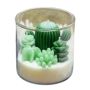 Scented Succulent Cactus Candle With Wooden Lid