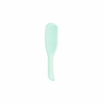 The Wet Detangler Fine & Fragile Mint