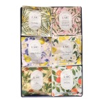 Lmc Rooibos Tea Envelope Gift Box