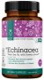 Echinacea