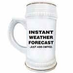 Funny Gifts For Meteorologist Beer Stein Mug Novelty 22OZ Ceramic Drinkware - Meteorology Weather Scientist Atmospheric Science