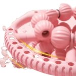 Muscle Roller Leg Clamp Massage Tool