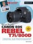 David Busch&  39 S Canon Eos Rebel T7I/800D Guide To Slr Photography   Paperback