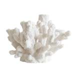 White Coral Tapered Candle Holder - 34CM L X 24CM H