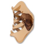 Hair Jaw Clip - Wood Look