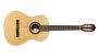 Cordoba CP100 Nylon String Guitar Pack