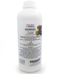 Castile Liquid Household Soap - 1L