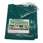 Protarp Pvc Tarpaulin 550G 5X6M Grn
